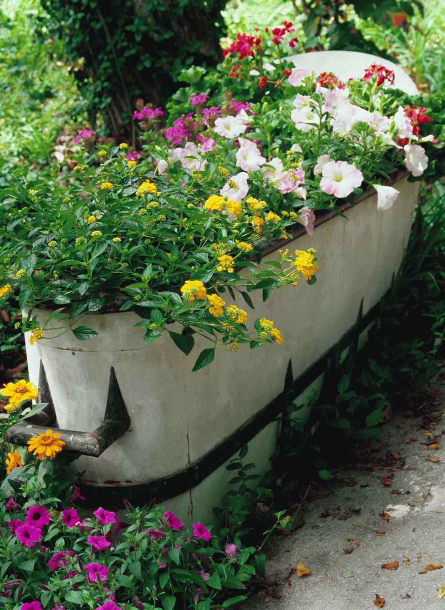 Home Comforts - Photodisc Signature Series ></a>
<script language=JavaScript> 
  var txt = 