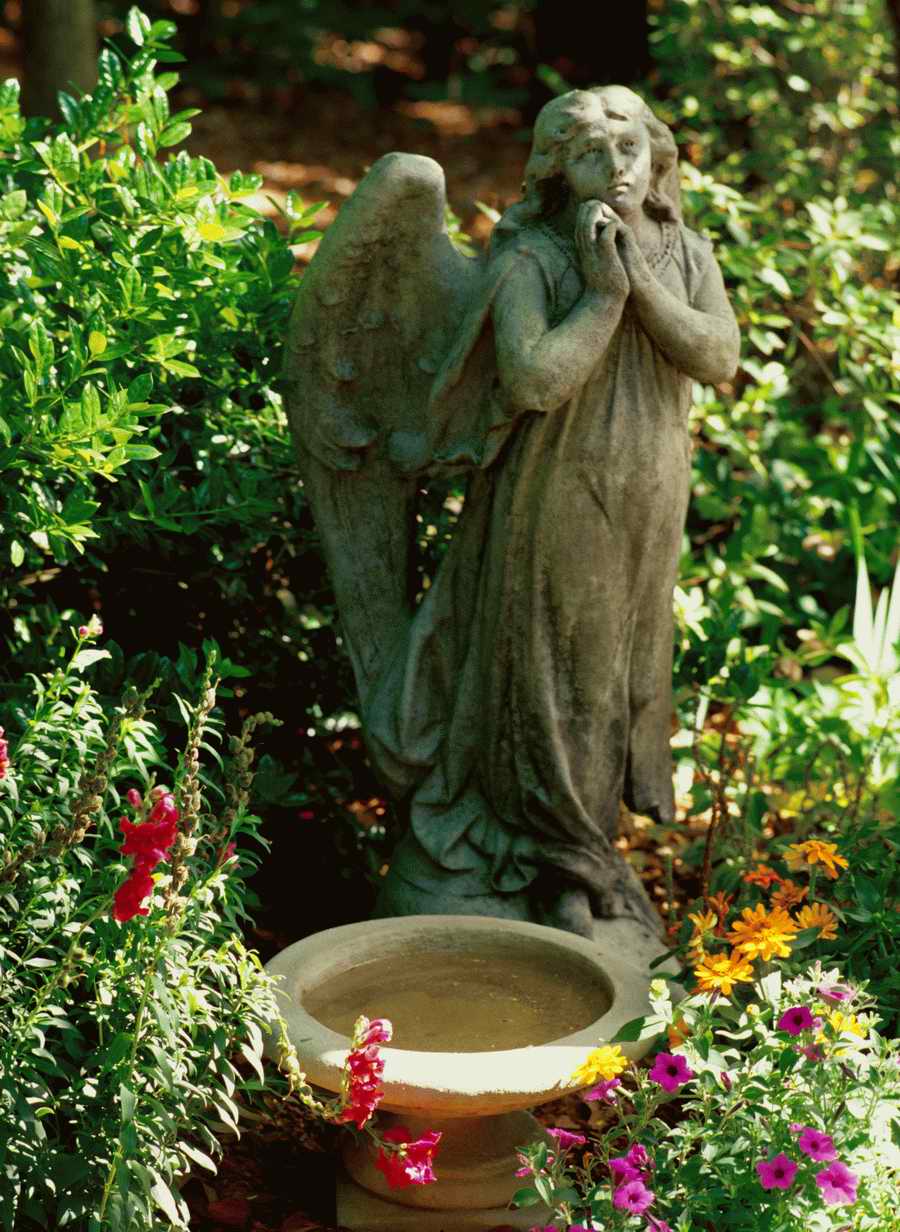 Home Comforts - Photodisc Signature Series ></a>
<script language=JavaScript> 
  var txt = 