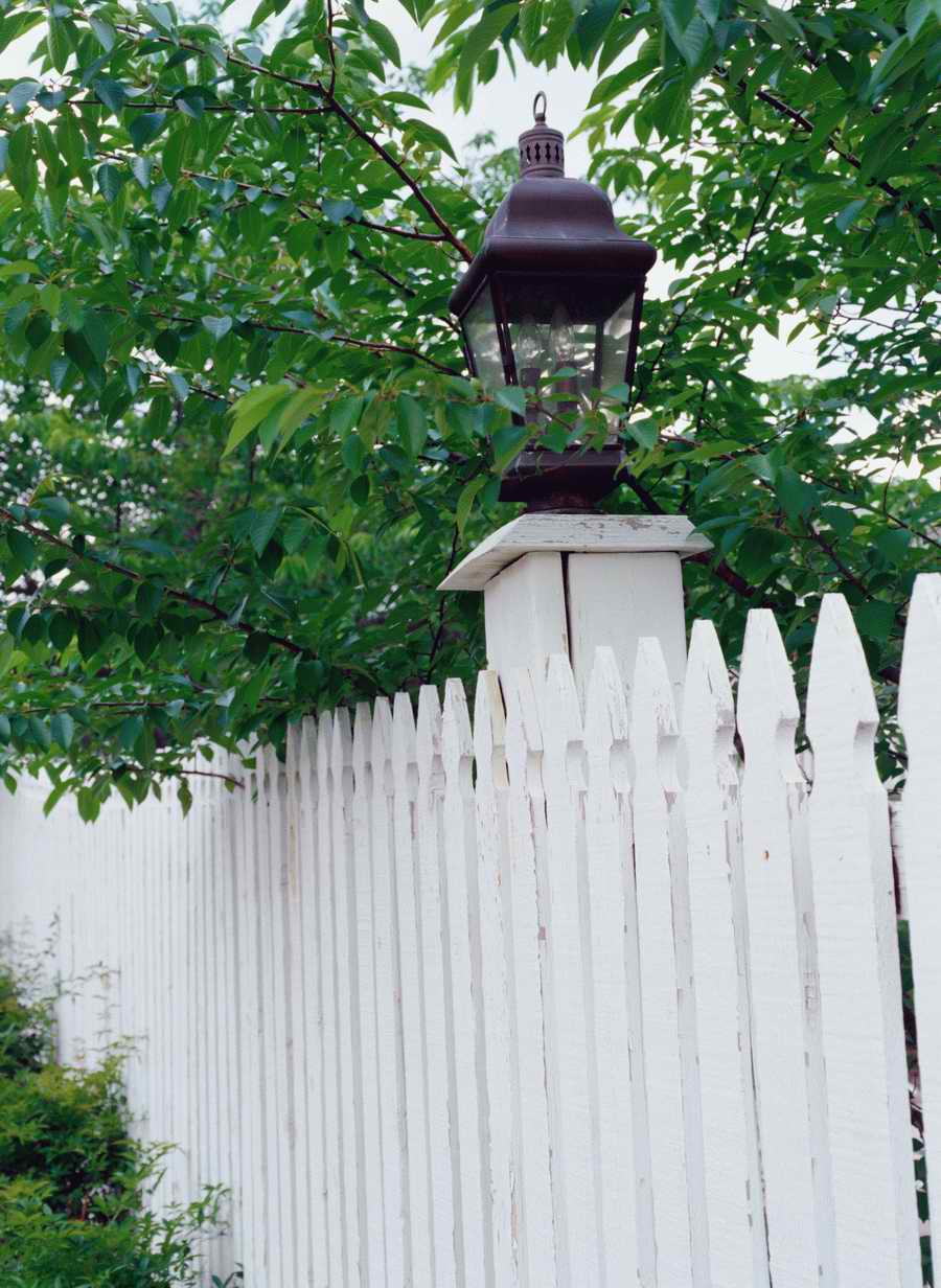 Home Comforts - Photodisc Signature Series ></a>
<script language=JavaScript> 
  var txt = 