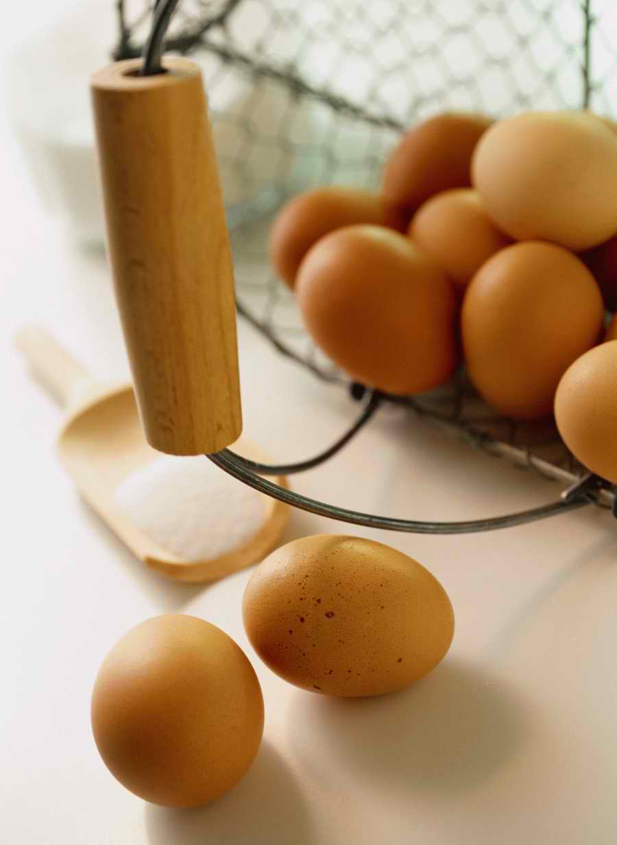 Home Comforts - Photodisc Signature Series ></a>
<script language=JavaScript> 
  var txt = 