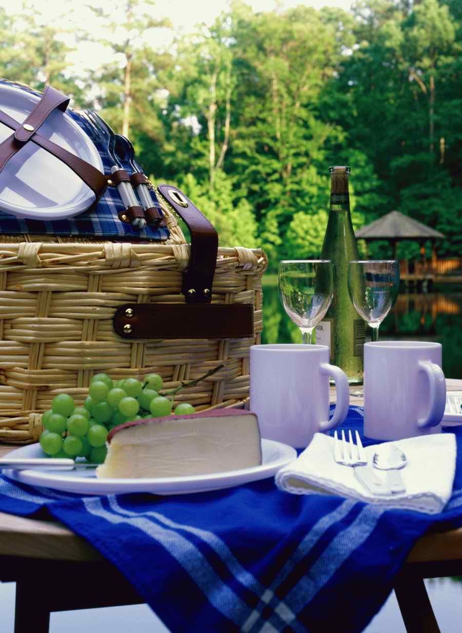 Home Comforts - Photodisc Signature Series ></a>
<script language=JavaScript> 
  var txt = 