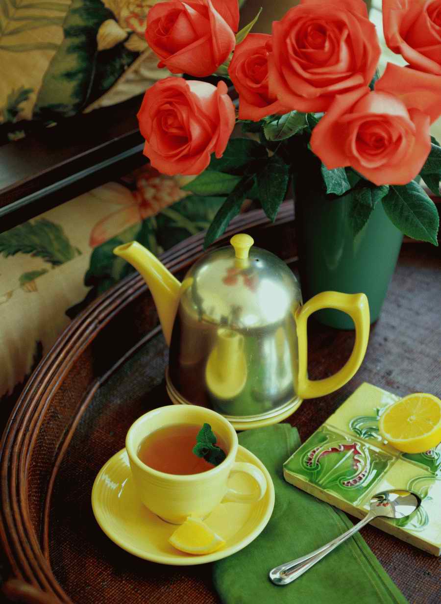 Home Comforts - Photodisc Signature Series ></a>
<script language=JavaScript> 
  var txt = 