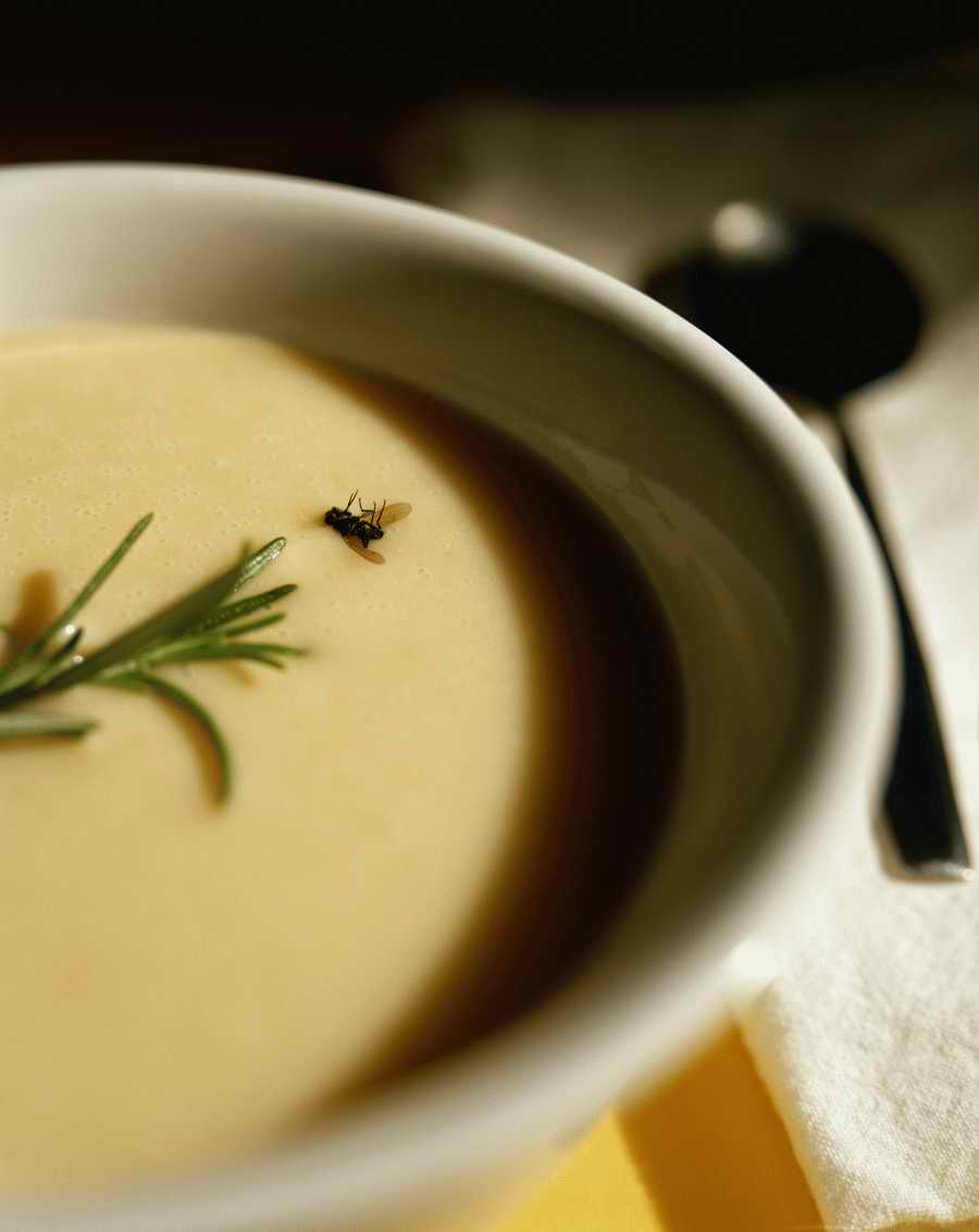 Lifes Frustrations - Photodisc Signature Series ></a>
<script language=JavaScript> 
  var txt = 