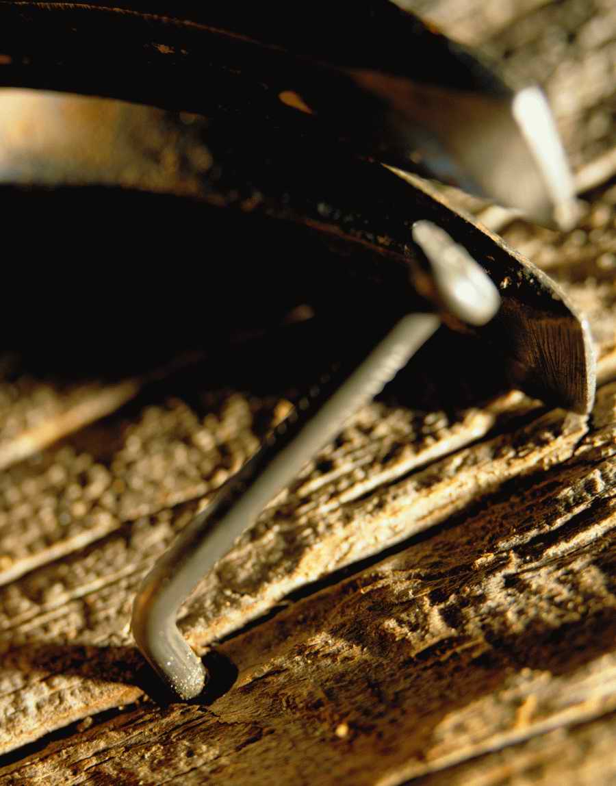 Lifes Frustrations - Photodisc Signature Series ></a>
<script language=JavaScript> 
  var txt = 