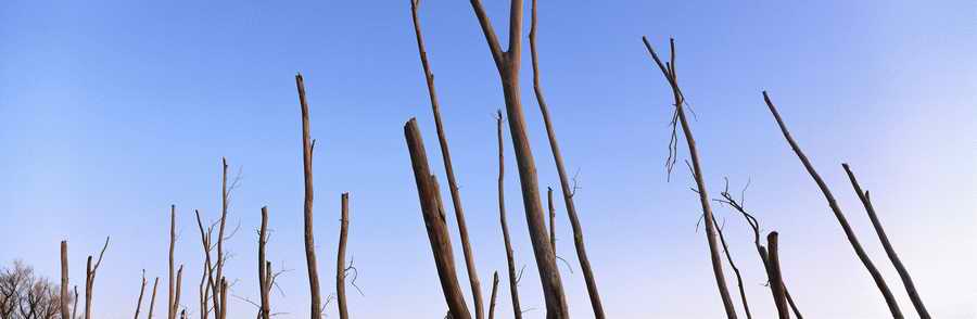 Panoramic Landscapes [PSS] - Photodisc Signature Series ></a>
<script language=JavaScript> 
  var txt = 