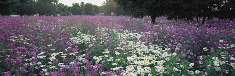 Panoramic Landscapes [PSS] - Photodisc Signature Series ></a>
<script language=JavaScript> 
  var txt = 