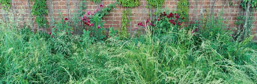 Panoramic Landscapes [PSS] - Photodisc Signature Series ></a>
<script language=JavaScript> 
  var txt = 