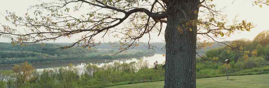 Panoramic Landscapes [PSS] - Photodisc Signature Series ></a>
<script language=JavaScript> 
  var txt = 