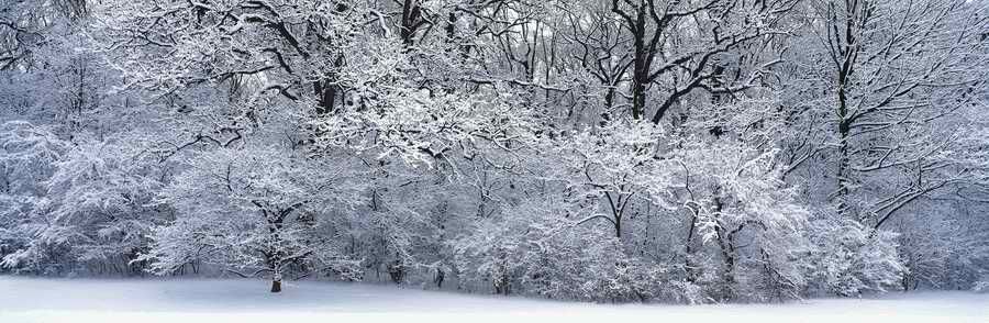 Panoramic Landscapes [PSS] - Photodisc Signature Series ></a>
<script language=JavaScript> 
  var txt = 