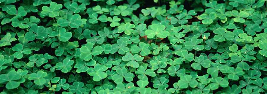 Panoramic Views - Photodisc Signature Series ></a>
<script language=JavaScript> 
  var txt = 