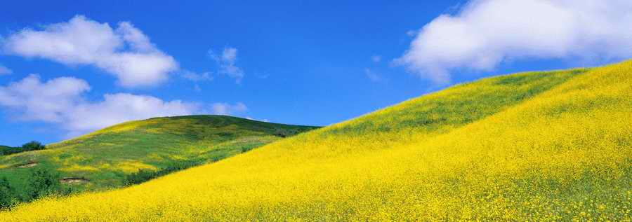 Panoramic Views - Photodisc Signature Series ></a>
<script language=JavaScript> 
  var txt = 