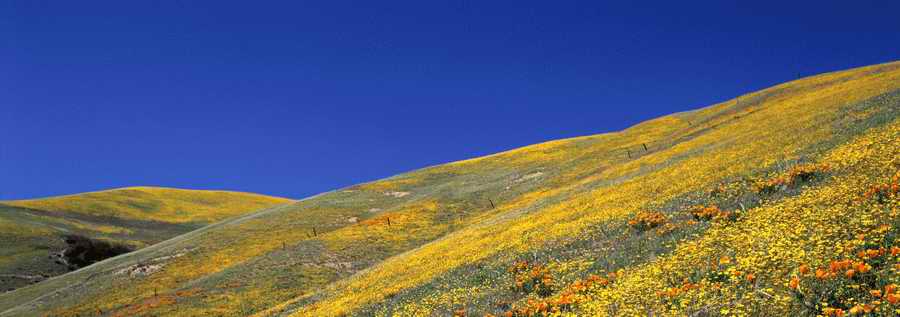 Panoramic Views - Photodisc Signature Series ></a>
<script language=JavaScript> 
  var txt = 