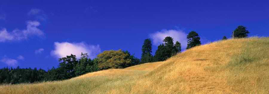 Panoramic Views - Photodisc Signature Series ></a>
<script language=JavaScript> 
  var txt = 