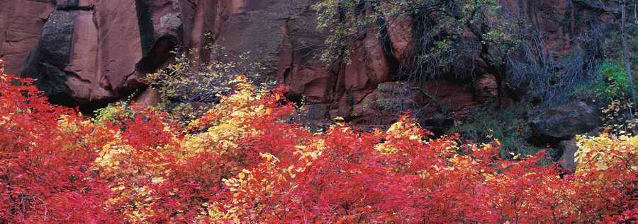 Panoramic Views - Photodisc Signature Series ></a>
<script language=JavaScript> 
  var txt = 