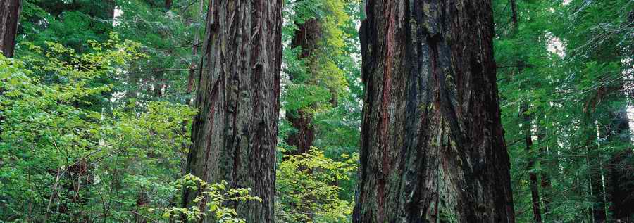 Panoramic Views - Photodisc Signature Series ></a>
<script language=JavaScript> 
  var txt = 