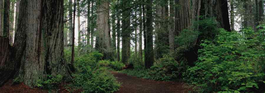 Panoramic Views - Photodisc Signature Series ></a>
<script language=JavaScript> 
  var txt = 