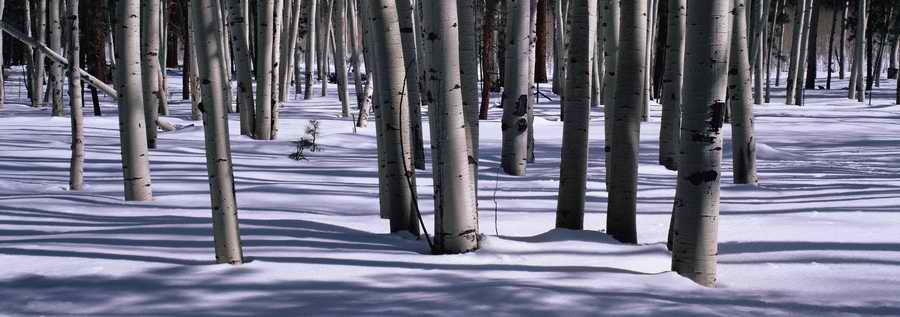 Panoramic Views - Photodisc Signature Series ></a>
<script language=JavaScript> 
  var txt = 