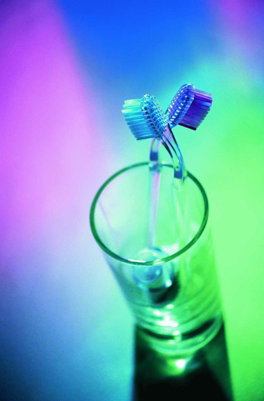 Still Life Today - Photodisc Signature Series ></a>
<script language=JavaScript> 
  var txt = 