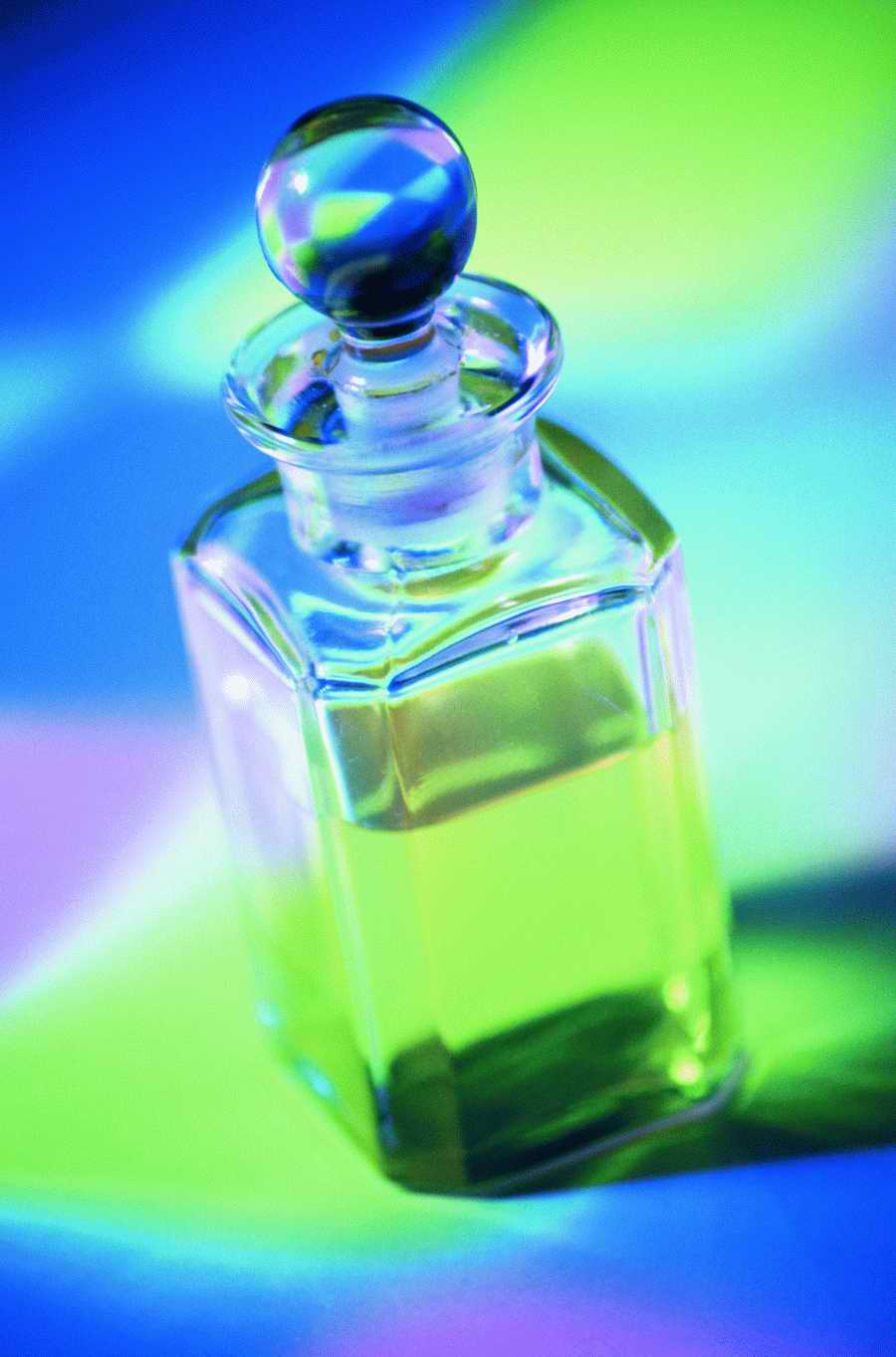 Still Life Today - Photodisc Signature Series ></a>
<script language=JavaScript> 
  var txt = 