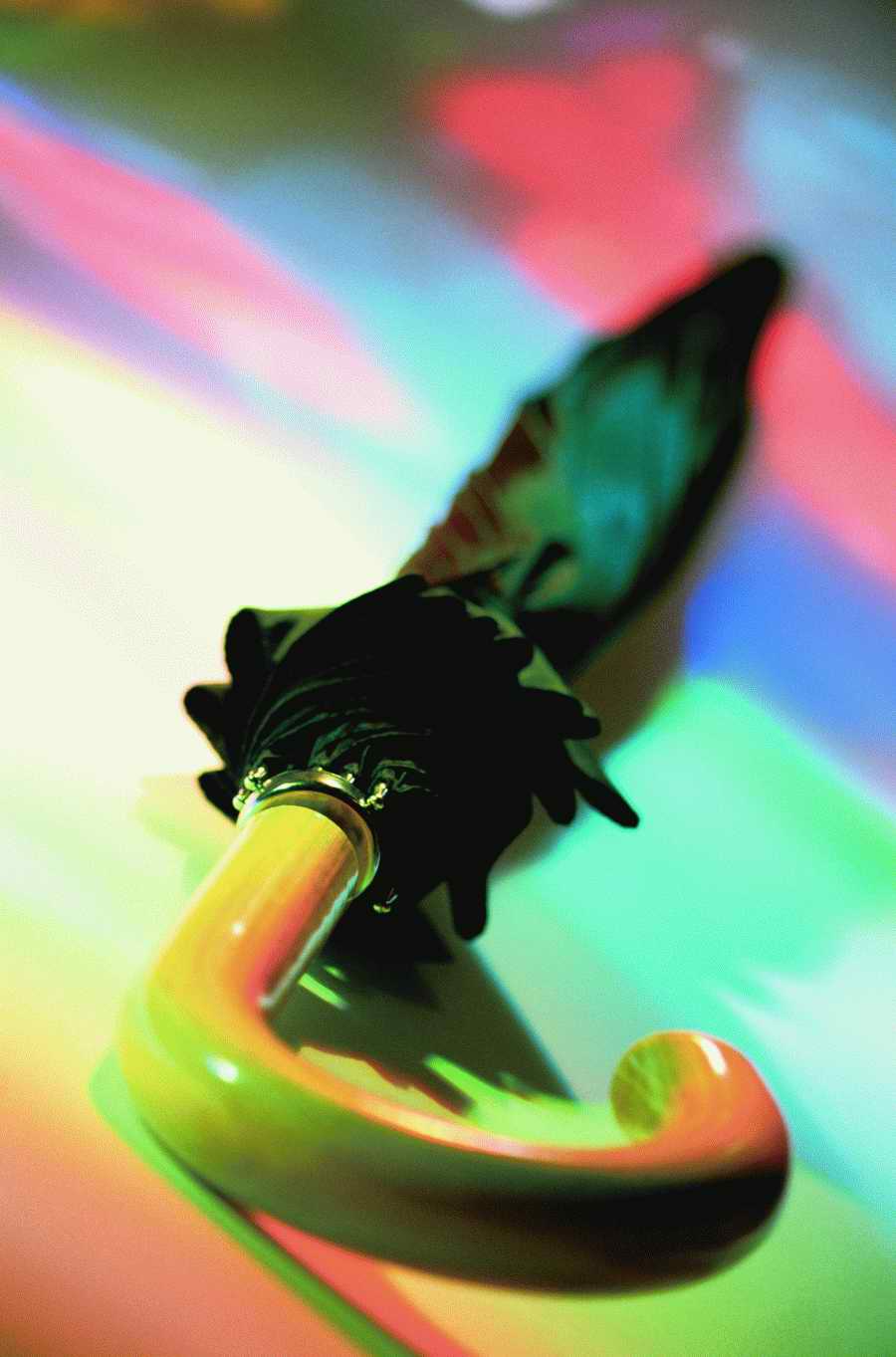 Still Life Today - Photodisc Signature Series ></a>
<script language=JavaScript> 
  var txt = 