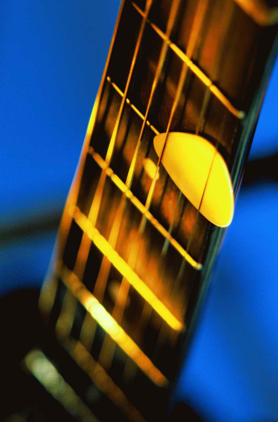 Still Life Today - Photodisc Signature Series ></a>
<script language=JavaScript> 
  var txt = 