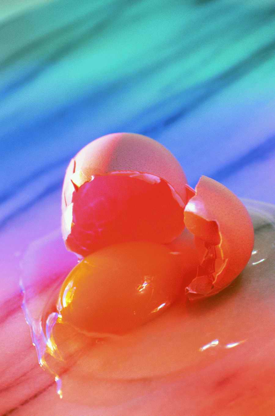 Still Life Today - Photodisc Signature Series ></a>
<script language=JavaScript> 
  var txt = 