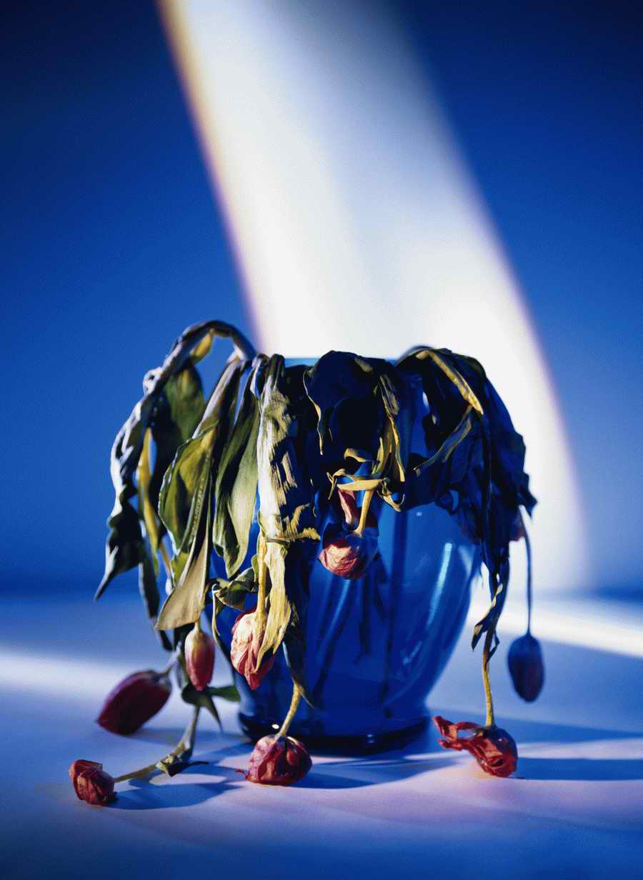 Time & Technology - Photodisc Signature Series ></a>
<script language=JavaScript> 
  var txt = 