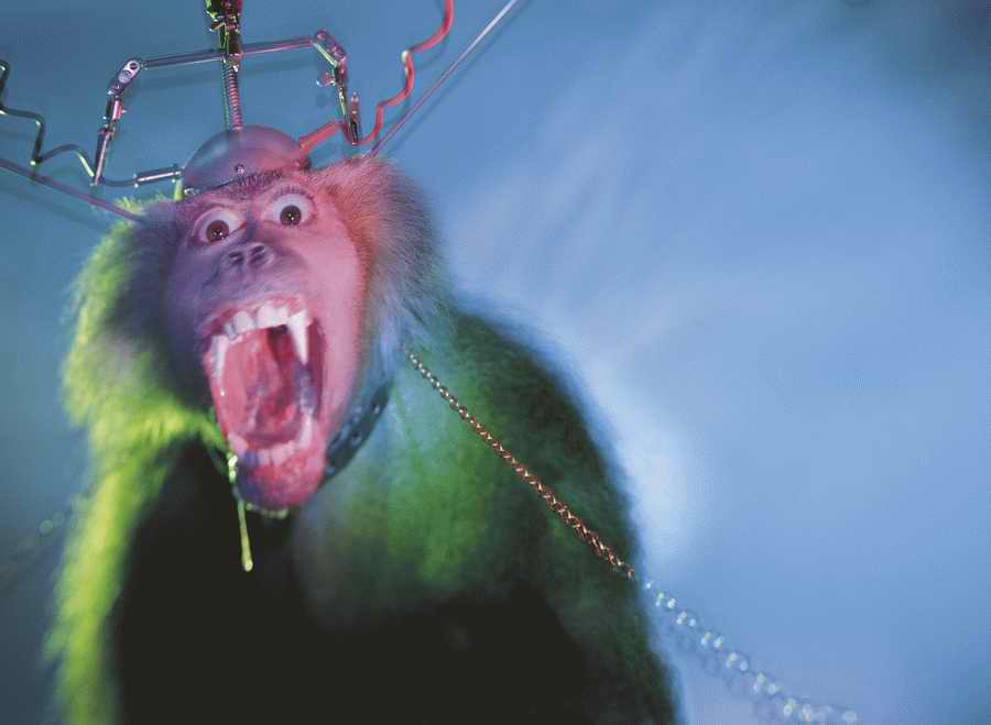 Time & Technology - Photodisc Signature Series ></a>
<script language=JavaScript> 
  var txt = 