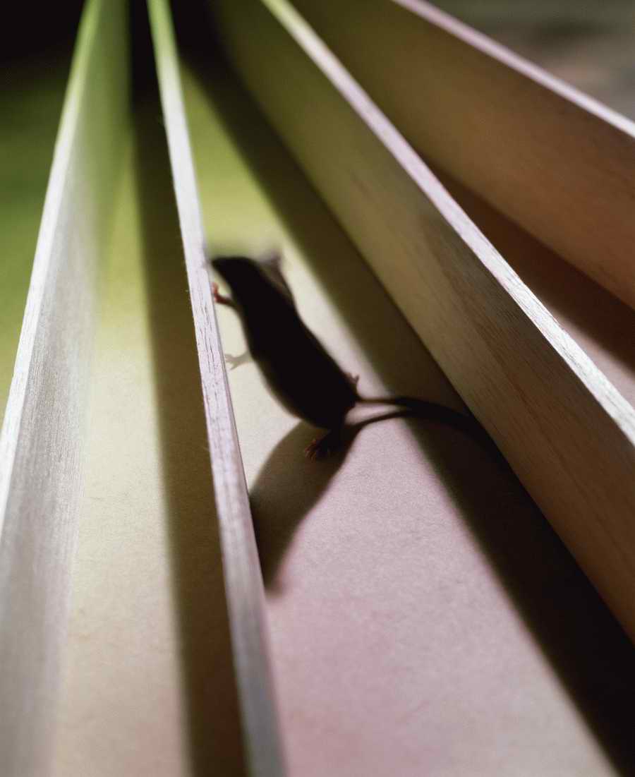 Technology Perspectives - Photodisc Signature Series ></a>
<script language=JavaScript> 
  var txt = 