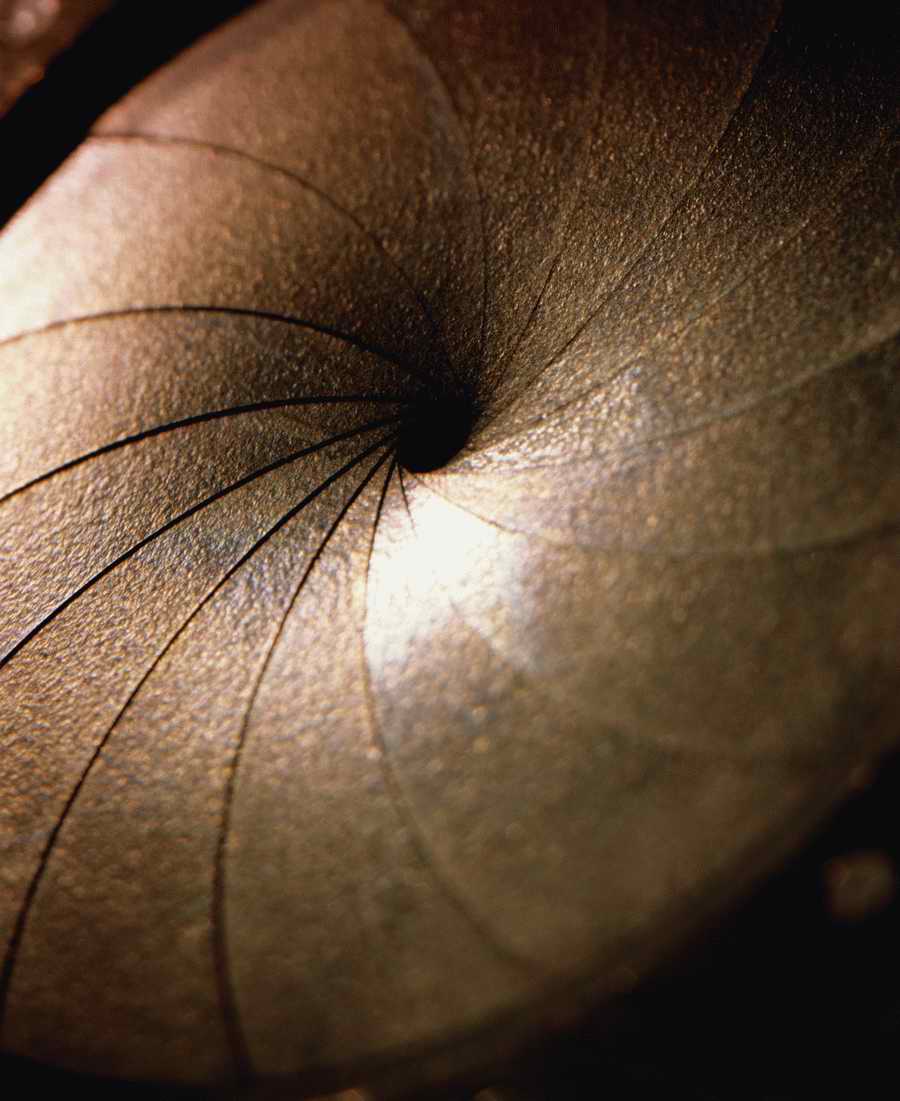 Technology Perspectives - Photodisc Signature Series ></a>
<script language=JavaScript> 
  var txt = 