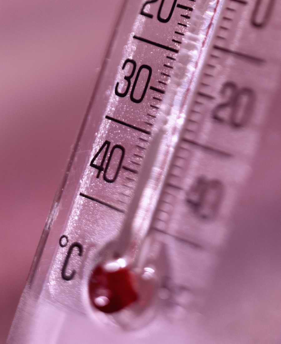 Technology Perspectives - Photodisc Signature Series ></a>
<script language=JavaScript> 
  var txt = 