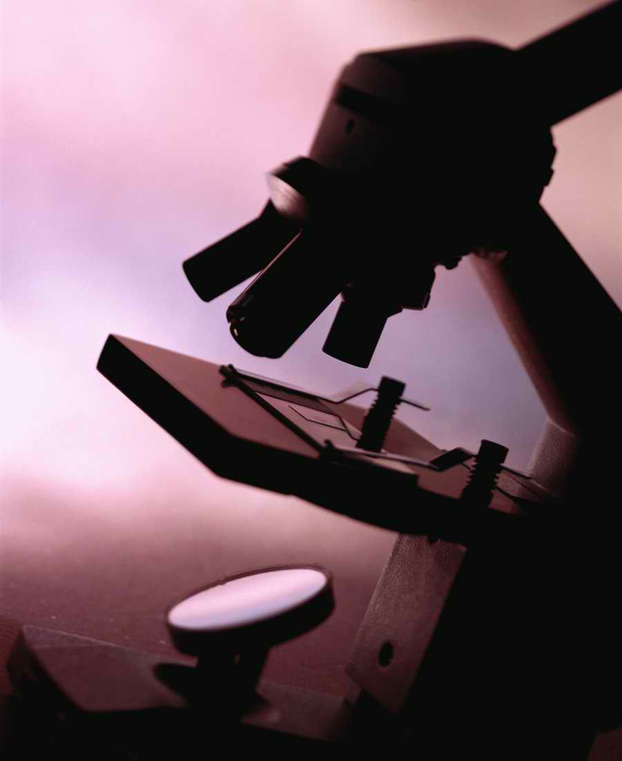 Technology Perspectives - Photodisc Signature Series ></a>
<script language=JavaScript> 
  var txt = 