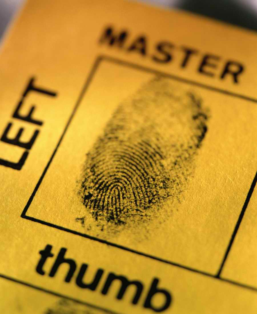 Technology Perspectives - Photodisc Signature Series ></a>
<script language=JavaScript> 
  var txt = 