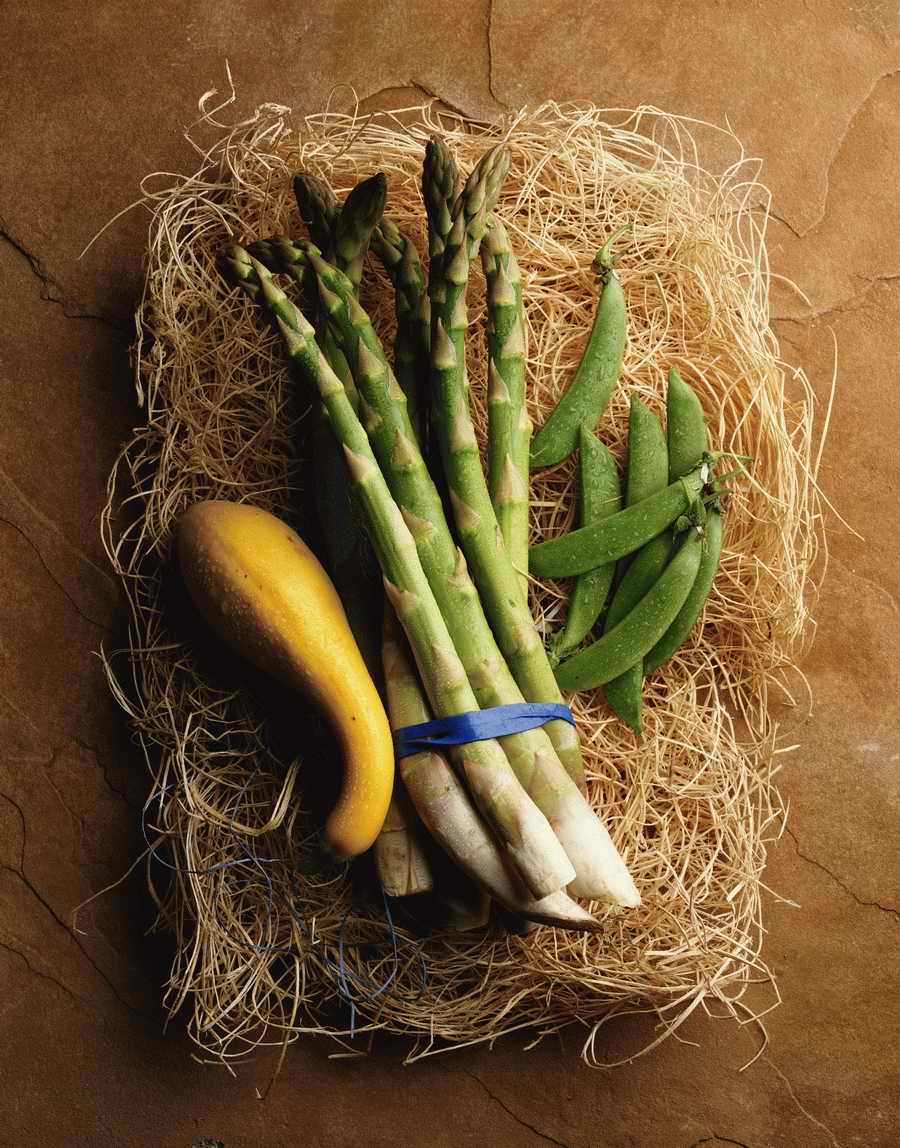 The Painted Table - Photodisc Signature Series ></a>
<script language=JavaScript> 
  var txt = 