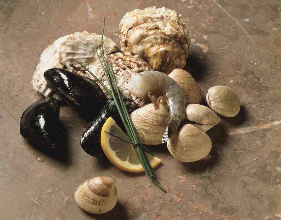 The Painted Table - Photodisc Signature Series ></a>
<script language=JavaScript> 
  var txt = 