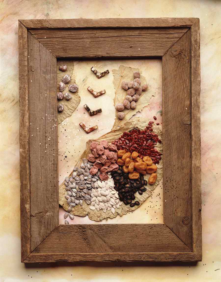 The Painted Table - Photodisc Signature Series ></a>
<script language=JavaScript> 
  var txt = 