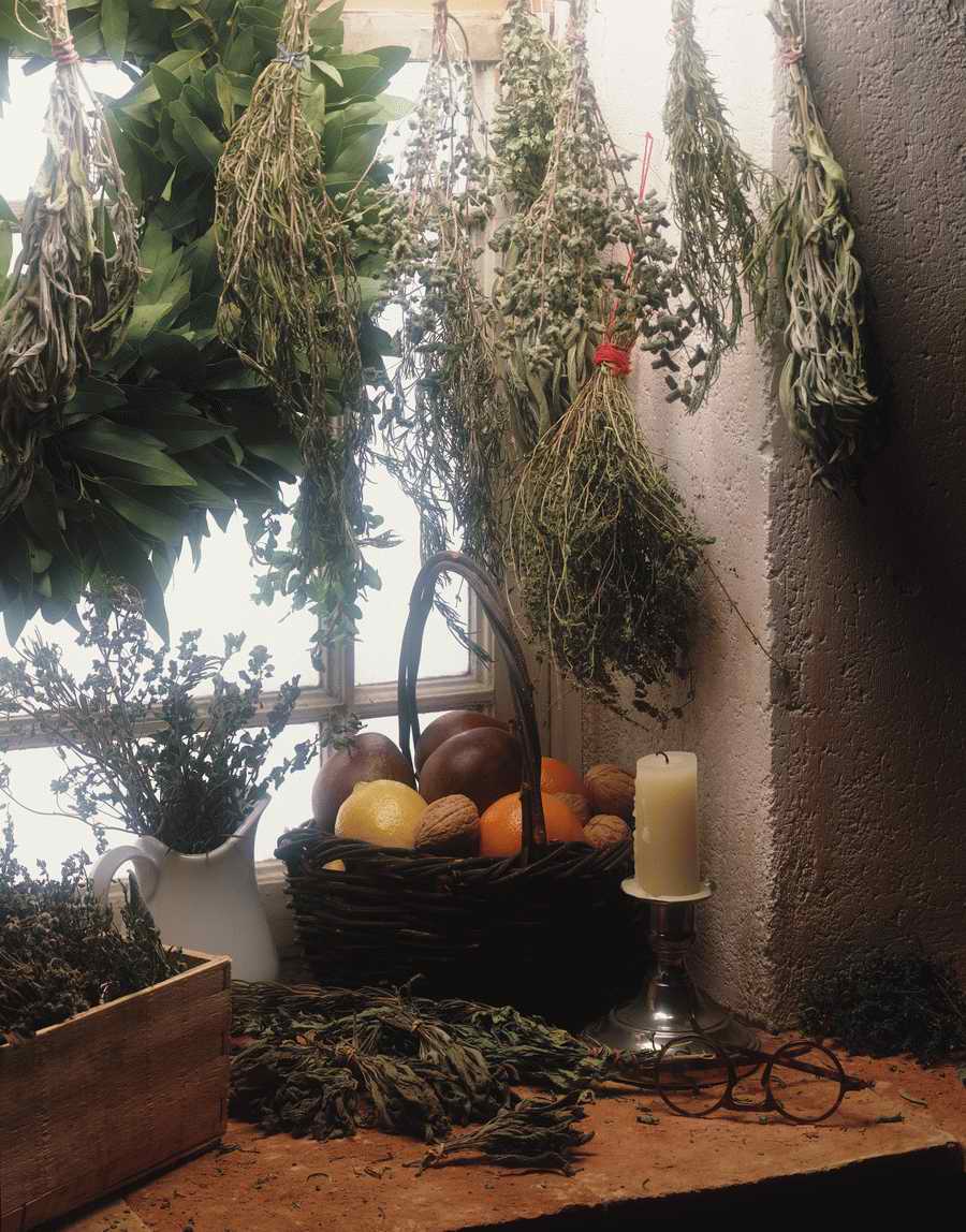 The Painted Table - Photodisc Signature Series ></a>
<script language=JavaScript> 
  var txt = 