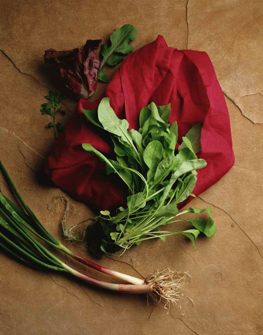 The Painted Table - Photodisc Signature Series ></a>
<script language=JavaScript> 
  var txt = 