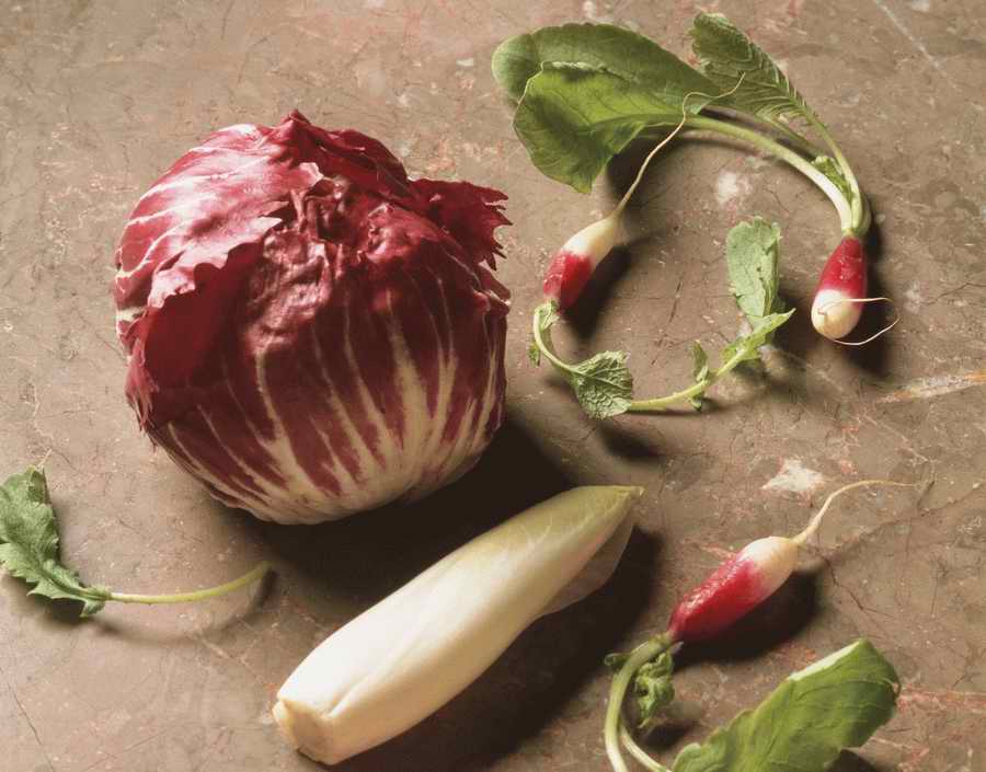 The Painted Table - Photodisc Signature Series ></a>
<script language=JavaScript> 
  var txt = 