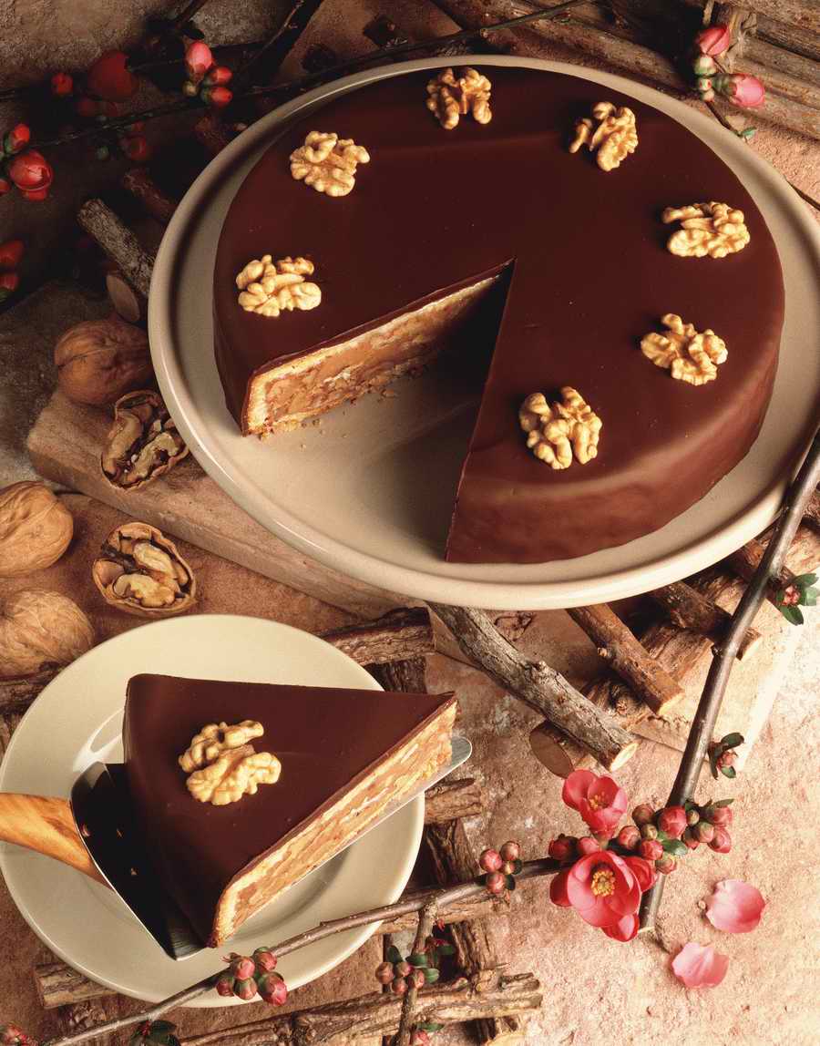 The Painted Table - Photodisc Signature Series ></a>
<script language=JavaScript> 
  var txt = 