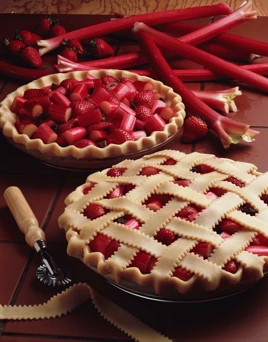 The Painted Table - Photodisc Signature Series ></a>
<script language=JavaScript> 
  var txt = 