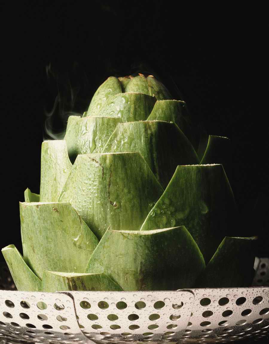 The Painted Table - Photodisc Signature Series ></a>
<script language=JavaScript> 
  var txt = 