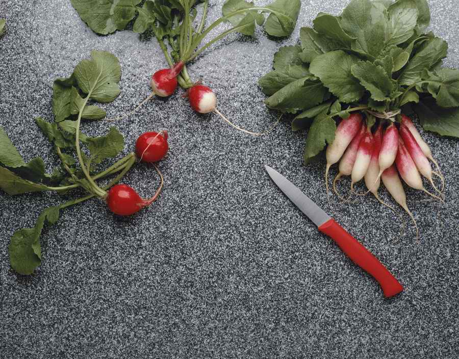 The Painted Table - Photodisc Signature Series ></a>
<script language=JavaScript> 
  var txt = 