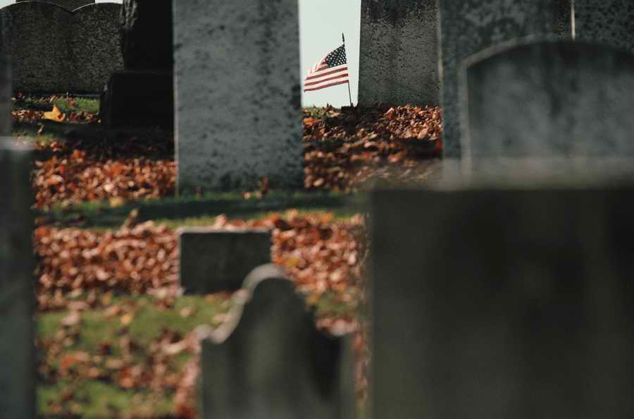 Urban Perspectives - Photodisc Signature Series ></a>
<script language=JavaScript> 
  var txt = 