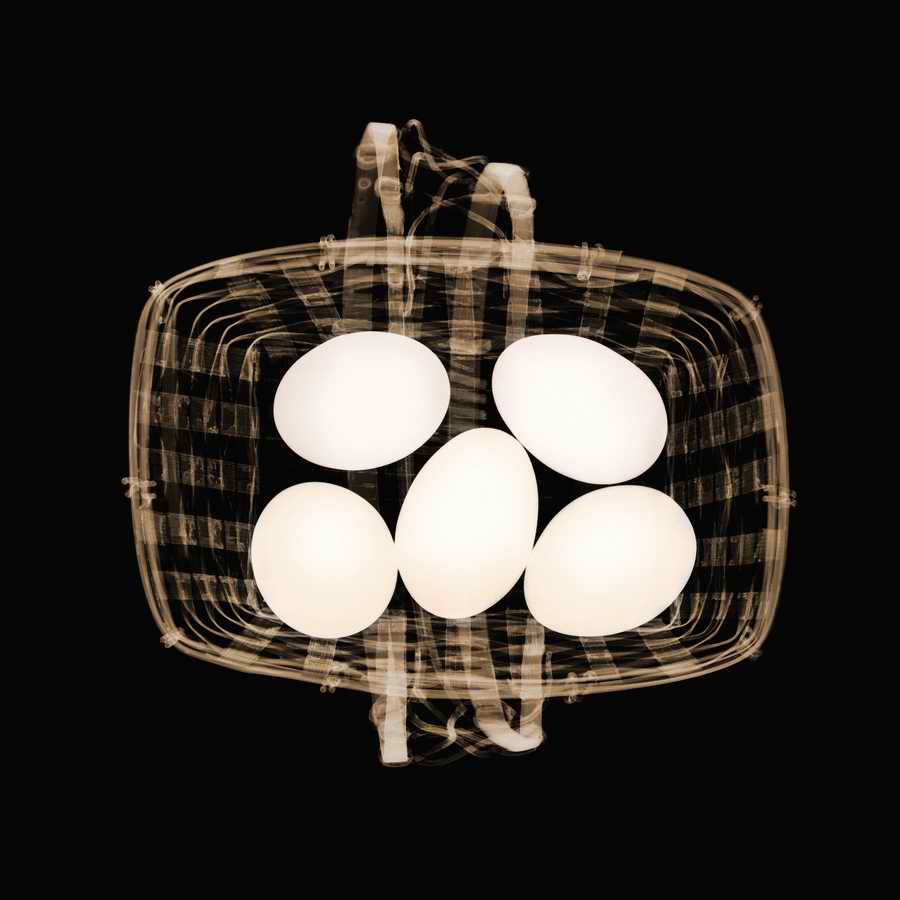 X-Ray Vision - Photodisc Signature Series ></a>
<script language=JavaScript> 
  var txt = 