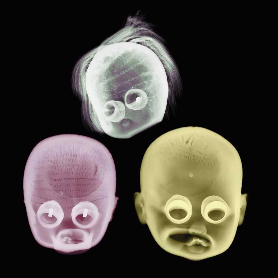 X-Ray Vision - Photodisc Signature Series ></a>
<script language=JavaScript> 
  var txt = 