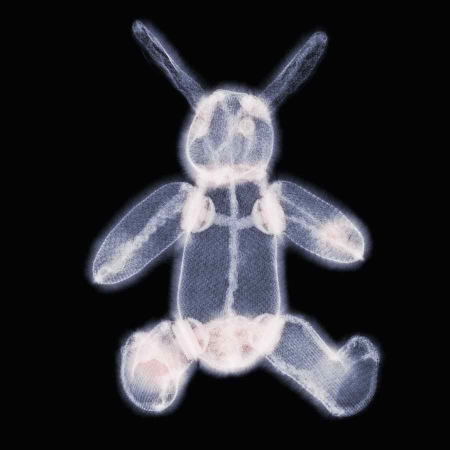X-Ray Vision - Photodisc Signature Series ></a>
<script language=JavaScript> 
  var txt = 