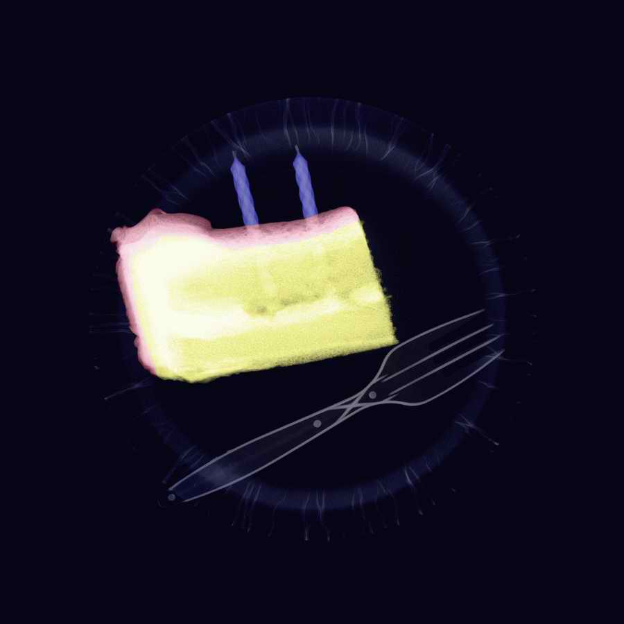 X-Ray Vision - Photodisc Signature Series ></a>
<script language=JavaScript> 
  var txt = 