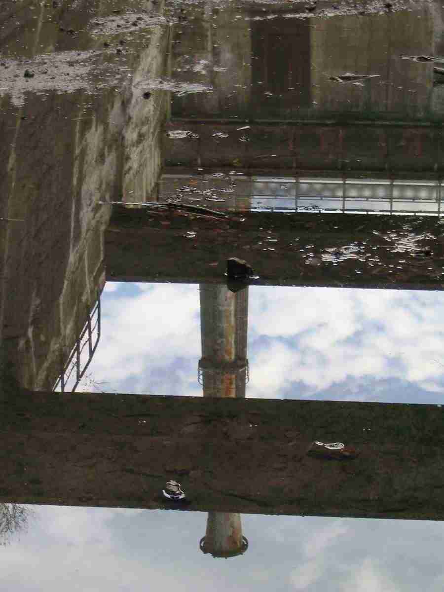 Reflections - RNMEDIA ></a>
<script language=JavaScript> 
  var txt = 