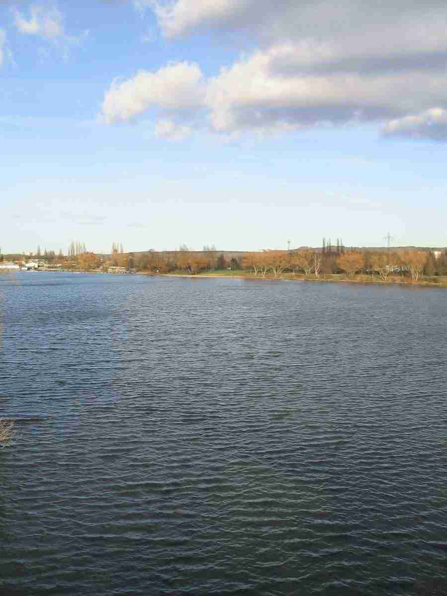 Reflections - RNMEDIA ></a>
<script language=JavaScript> 
  var txt = 